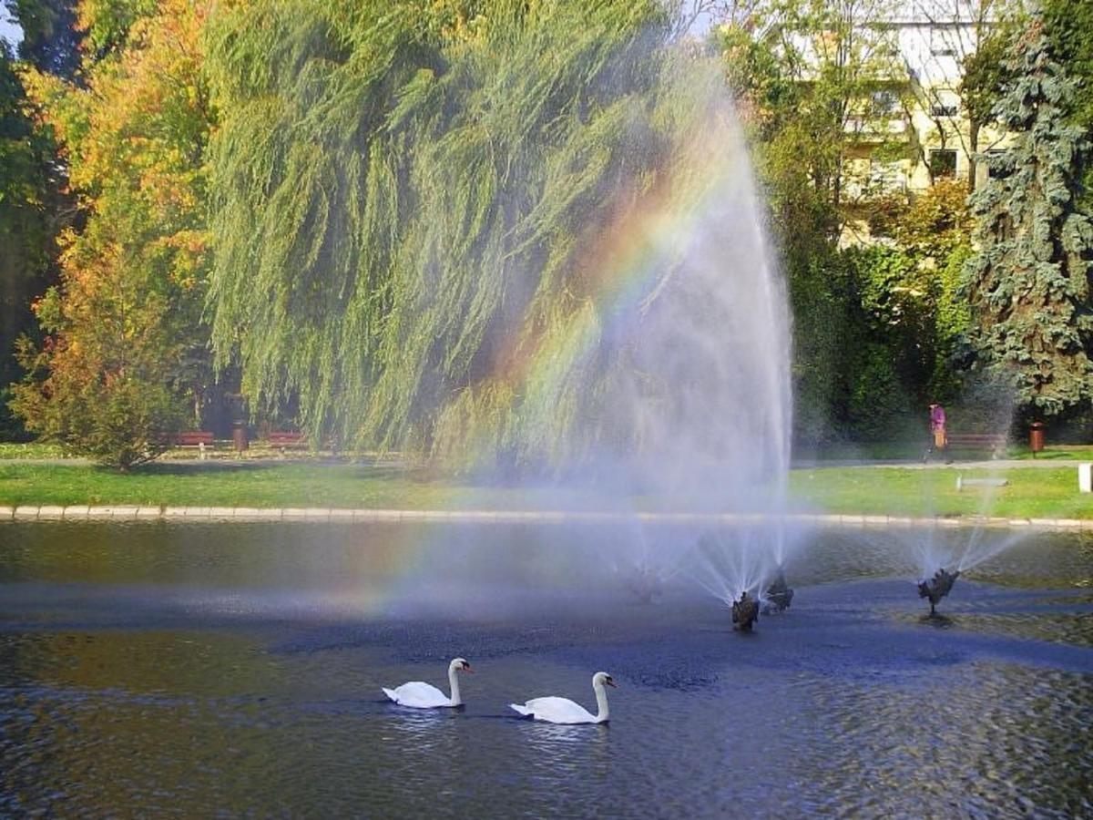 קילצה Apartamenty Centrum Rynek Market City Center מראה חיצוני תמונה